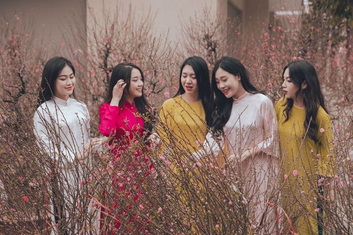 Đường hoa đào – mai rực rỡ sẽ là một trong những điểm check-in không thể bỏ lỡ tại Lễ hội Xuân - Green Paradise Tet Fest.