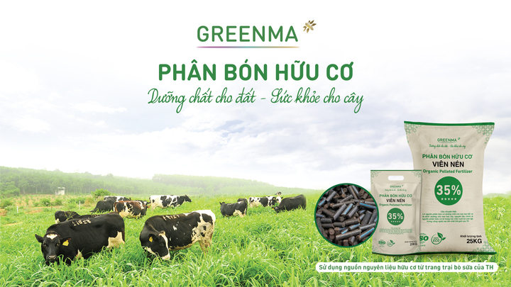 Phân bón hữu cơ Greenma sử dụng nguồn nguyên liệu hữu cơ từ trang trại bò sữa TH.