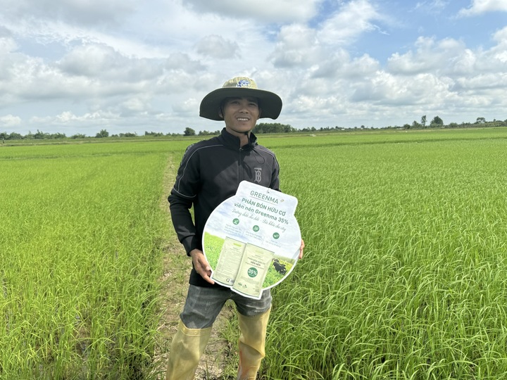 Anh Ngô Đình Hồng chủ ruộng lúa ST24 và ST25 tại huyện Krông Pắk, tỉnh Đắk Lắk.