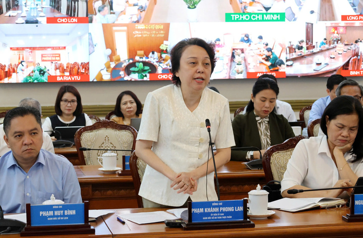 Bà Phạm Khánh Phong Lan thông tin tại buổi họp.