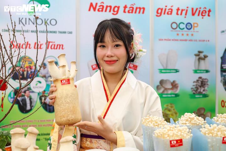 Là gian hàng duy nhất tại Hội chợ Mùa xuân 2026 giới thiệu sản phẩm nấm Kinoko được sản xuất trong nước, Công ty TNHH Xuất nhập khẩu Kinoko Thanh Cao (xã Hương Sơn, Hà Nội) mang đến hai dòng sản phẩm chủ lực: nấm kim châm và nấm đùi gà.
