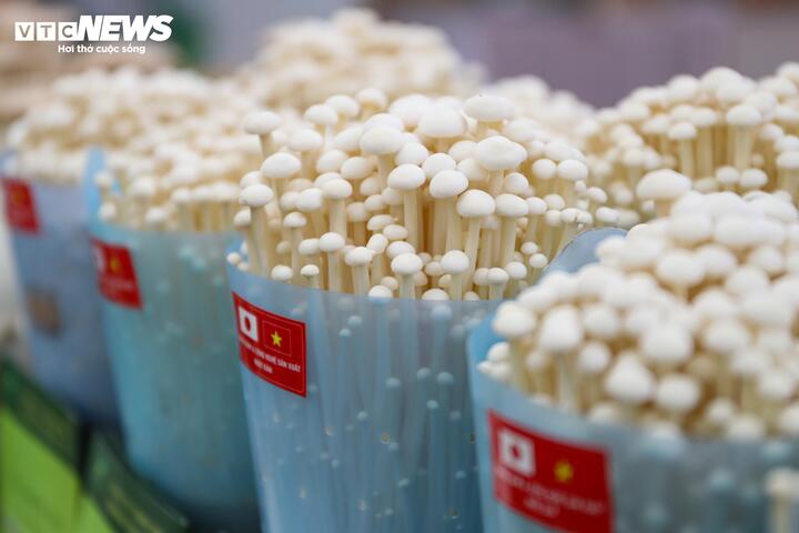 Doanh nghiệp cũng áp dụng các công nghệ cao trong sản xuất nông nghiệp sạch, tổ chức canh tác trong môi trường khép kín, vô khuẩn, vô trùng, với nhiệt độ được kiểm soát nghiêm ngặt từ 5 - 15°C. Mỗi hạt bụi đều được xem là “kẻ thù” của cây nấm.