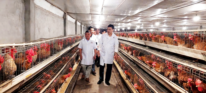 Phó Chủ tịch Quốc hội Vũ Hồng Thanh (bên phải) thăm trang trại gà Tiên Yên của ông Lý Văn Diểng.