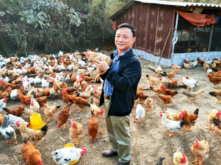 Ông Lý Văn Diểng, Bí thư Đảng ủy xã Hà Lâu một thời có công lớn trong việc "đánh thức" con gà Tiên Yên.