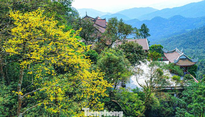 Quảng Ninh miễn phí tham quan Yên Tử đến hết năm 2028.