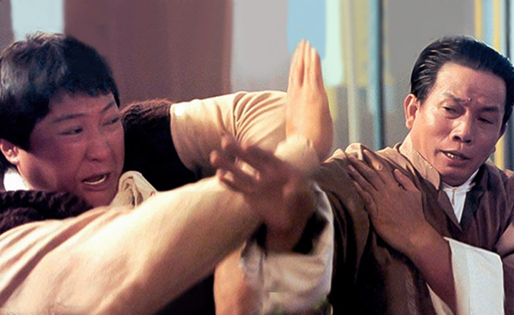 Hồng Kim Bảo từng đóng phim cùng Lưu Gia Lương