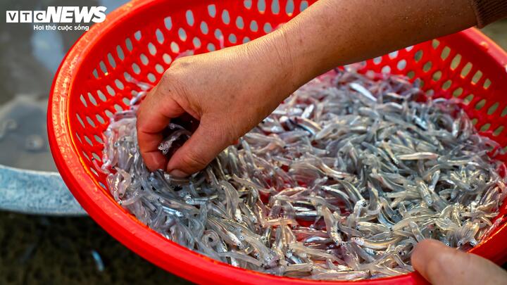 Có mặt tại chợ cá này từ sáng sớm trong chuyến du lịch cùng gia đình, chị Minh Vân (ngụ TP.HCM) cho rằng, khi đặt chân đến chợ cá ven biển, tận tay chọn những mớ cá, con mực tươi ngon và hít thở bầu không khí từ biển trong lành, ngắm nhìn khung cảnh mua bán của người dân nơi đây, gia đình chị rất vui với trải nghiệm ý nghĩa.