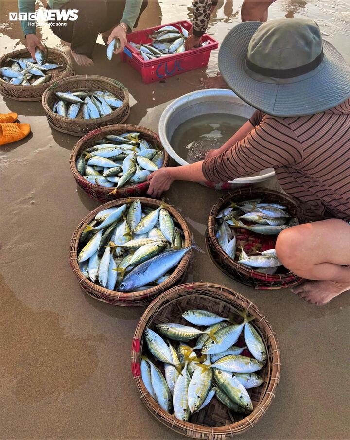 Làng chài Gia Lai hồi sinh sau bão lịch sử, buôn bán tấp nập bên sóng nước - 13