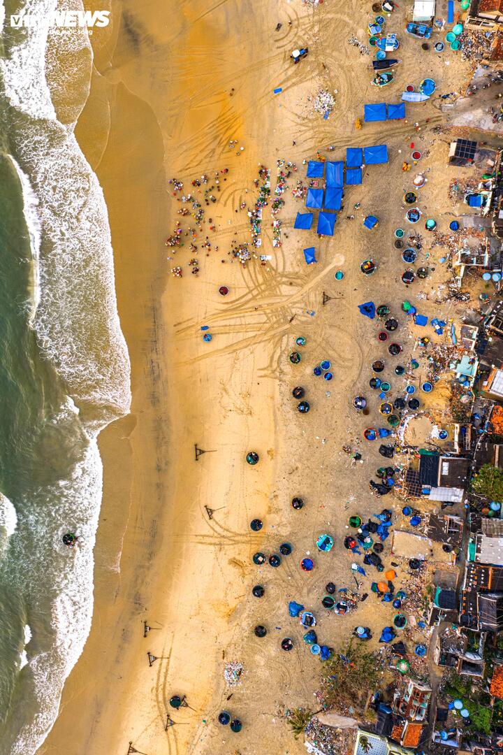 Những chiếc thuyền thúng xanh tròn trịa và những giỏ cá đầy ắp hòa vào nhau tạo nên khung cảnh yên bình.