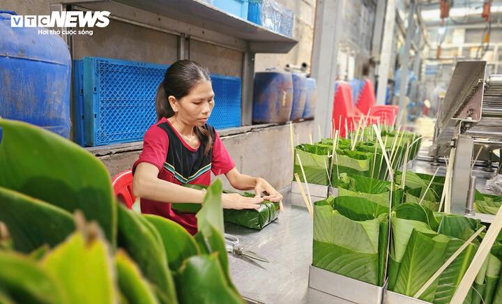 Khâu xếp lá và gói bánh vẫn cần đến bàn tay con người. Chị Trương Thị Minh Lắm, một nội trợ, đã gắn bó với công việc này suốt 4 năm qua. Mỗi phút, chị có thể xếp từ 5-6 khung lá, nhanh gấp gần 3 lần so với những ngày đầu. Mỗi bánh sẽ cần 4 lá dong, lá được xếp ngay ngắn, tạo nên hình dáng vuông vức cho bánh.