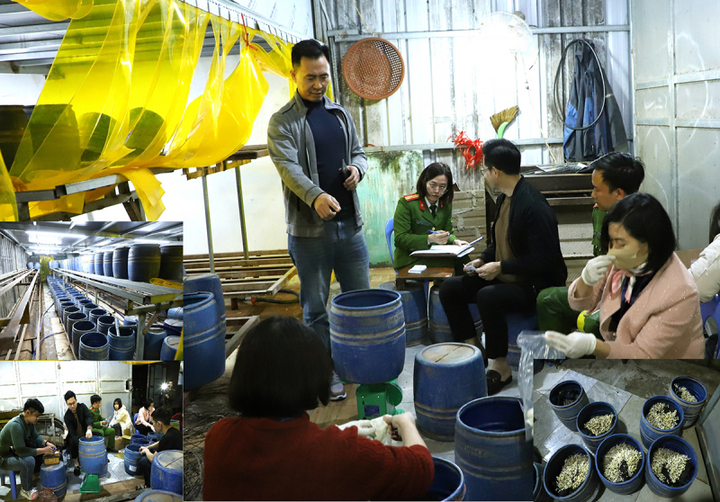 Lực lượng chức năng kiểm tra cơ sở sản xuất giá đỗ sử dụng chất cấm của Trần Quốc Đại.