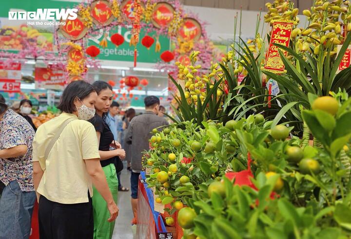 Hoa, cây kiểng cũng được bày bán nhiều.