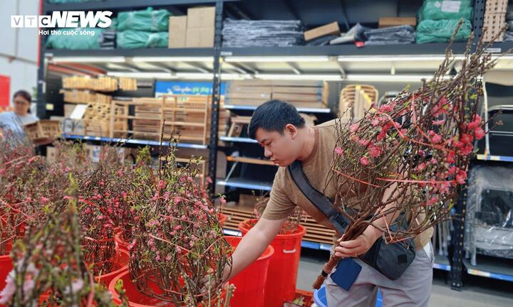 Các cành đào có giá từ 269.000 - 359.000 đồng được nhiều người dân TP.HCM chọn mua.