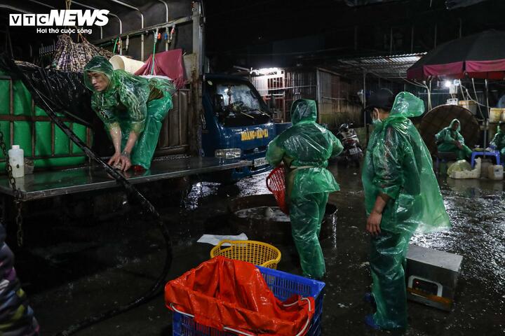 Thị trường ảm đạm khiến nhiều tiểu thương lo lắng về đầu ra cho lượng cá chép đỏ đã nhập, trong khi chỉ còn 1 ngày nữa là đến 23 tháng Chạp.