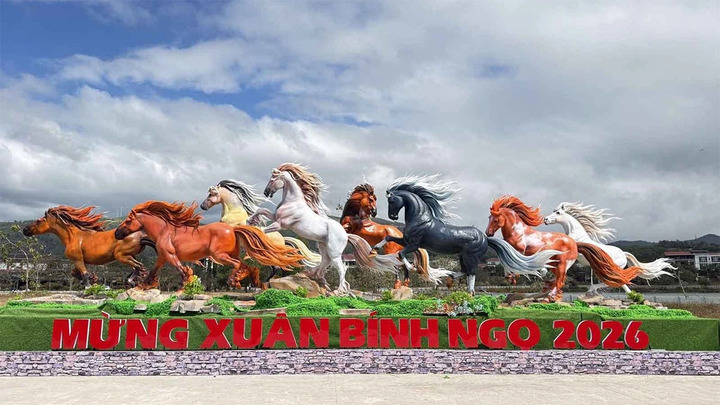 Cùng ý nghĩa đoàn kết, vươn lên là đàn ngựa "Bát mã truy phong" ở xã Lao Bảo, Quảng Trị. Tám con ngựa phi nước đại, xếp thành thế mã đáo thành công, cùng tiến về một hướng. (Ảnh: Lê Hùng)