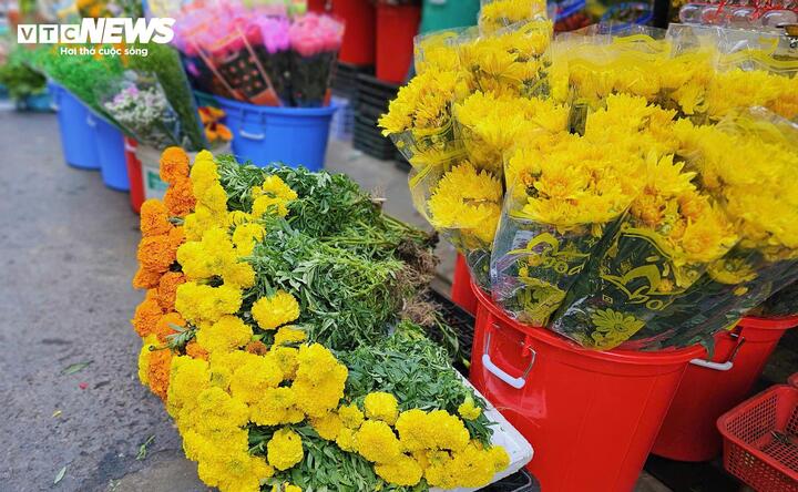 Thị trường hoa tươi phục vụ lễ cúng ông Công ông Táo năm nay khá ổn định nhờ thời tiết thuận lợi. Hoa vạn thọ có giá 15.000-20.000 đồng/cây, cúc 40.000-60.000 đồng/10 cành, lay ơn 80.000-120.000 đồng/10 cành, hoa ly 220.000-300.000 đồng/10 cành.