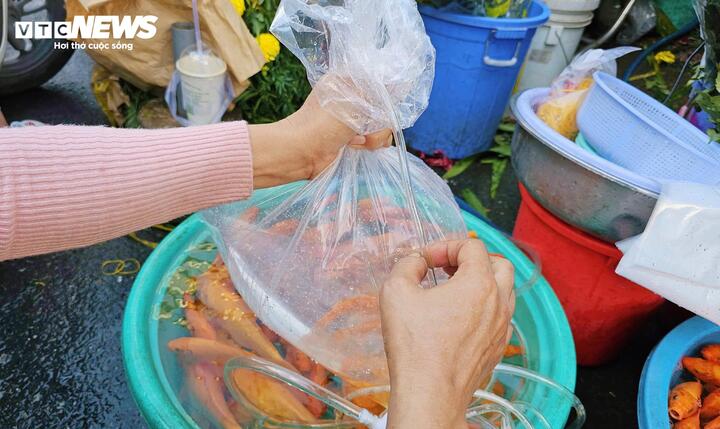 Giá hoa vạn thọ, xôi chè ít biến động, khách tranh thủ sắm lễ cúng ông Táo sớm - 9