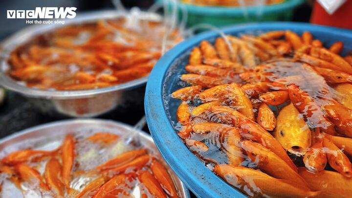 Giá hoa vạn thọ, xôi chè ít biến động, khách tranh thủ sắm lễ cúng ông Táo sớm - 8