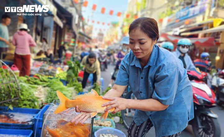 Khu vực bán cá chép tại các chợ truyền thống cũng có khách ghé mua từ sáng sớm. Chị Phương, tiểu thương bán cá chép, cho biết: "Năm nay các chép giá cũng phải chăng, giảm so với năm trước, hàng được tôi nhập từ sáng qua để kịp bán cho khách". Tuy nhiên, dự báo thị trường không tăng đột biến, thậm chí giảm nên chị chủ động nhập lượng cá ít hơn năm trước.