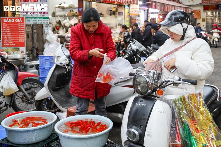 Riêng giá cá chép đỏ những ngày trước giảm nhẹ nhưng đến hôm nay đã tăng trở lại. Cụ thể, cá chép loại to có giá 100.000 - 120.000 đồng/3 con, loại nhỏ khoảng 70.000 đồng/3 con, đắt hơn khoảng 30.000 - 50.000 đồng so với ngày thường.