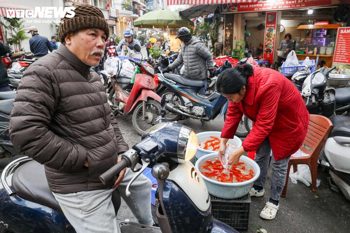 Tuy nhiên, nhiều khách vẫn nhận xét: “Nhìn chung, giá cá chép năm nay là hợp lý, các mặt hàng khác cũng có giá mềm hơn so với mọi năm”.