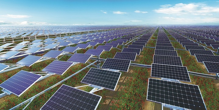 Hàng cây kỳ tử trồng dưới hệ thống pin mặt trời tại trang trại Baofeng, Ninh Hạ, Trung Quốc. (Ảnh: China Daily)