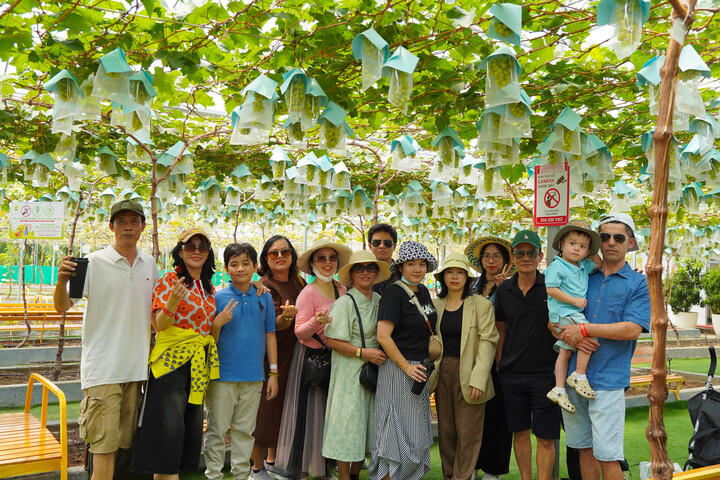 Du lịch nông nghiệp trở thành lựa chọn của nhiều du khách tìm kiếm trải nghiệm xanh, bền vững và giàu giá trị văn hóa.