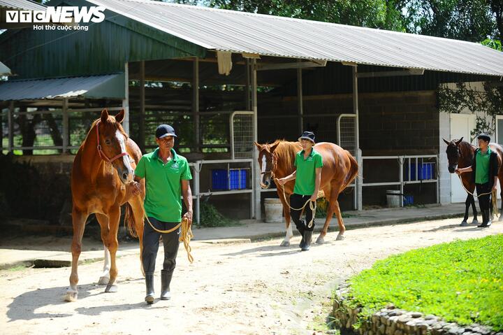 Ngày 19/2/2025, Phó Thủ tướng Thường trực Nguyễn Hòa Bình ký Quyết định số 371/QĐ-TTg chấp thuận chủ trương đầu tư dự án, bổ sung mục tiêu tổ chức kinh doanh đặt cược đua ngựa, đua chó theo quy định pháp luật. Đây được xem là bước ngoặt quan trọng, tạo hành lang pháp lý để dự án triển khai đồng bộ, bài bản và phù hợp với các chuẩn mực quốc tế. Tiếp đó, ngày 29/6/2025, UBND huyện Đạ Huoai (nay là xã Đạ Huoai) đã phê duyệt điều chỉnh quy hoạch chi tiết tỷ lệ 1/500 đối với dự án trường đua và Trung tâm nuôi – huấn luyện ngựa đua, du lịch Đạ Huoai, tạo cơ sở để triển khai các hạng mục hạ tầng kỹ thuật theo lộ trình.