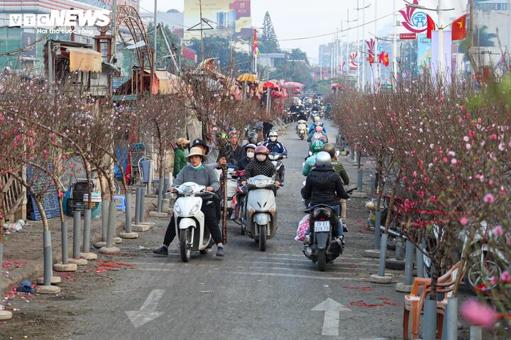 Sắc hồng, sắc đỏ đặc trưng của hoa đào Nhật Tân góp phần tô điểm không khí Tết thêm rộn ràng, tươi mới.