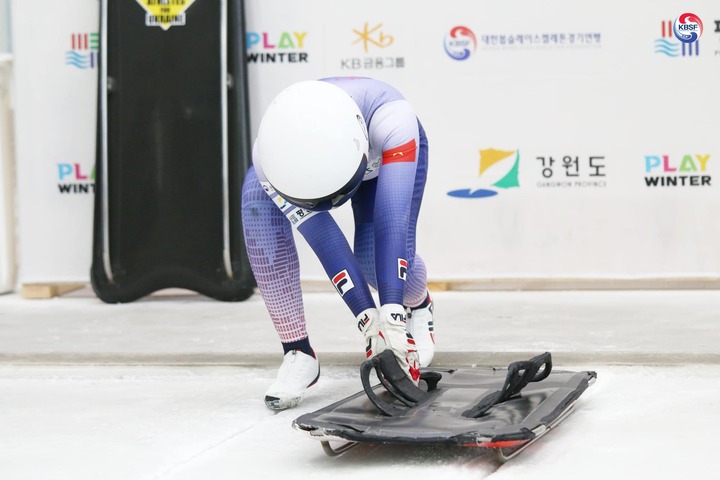 Việt Nam từng có một số vận động viên tập luyện môn thể thao mùa đông nhưng không tham dự Thế vận hội.