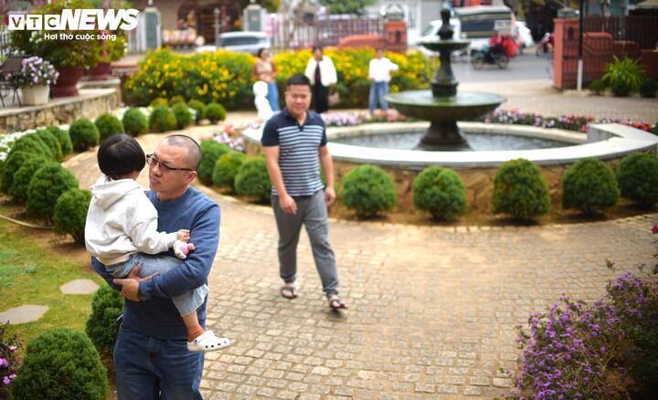 Mỗi ngày, hàng trăm du khách ghé đến tham quan, chiêm ngưỡng và ngắm nhìn biệt thự Phi Ánh.