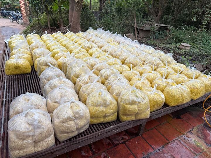 Riềng xay thành phẩm được trộn chất tẩy đường và chất Vàng O bị thu giữ. (Ảnh: Công an Bắc Ninh).