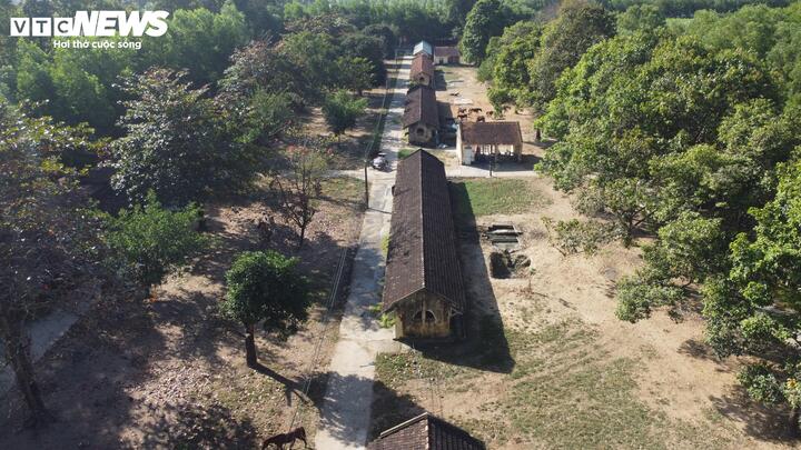 Các loại huyết thanh này đã và đang đóng vai trò quan trọng trong công tác cấp cứu, điều trị các bệnh nguy hiểm, đặc biệt là các ca uốn ván, dại và rắn độc cắn tại nhiều địa phương trên cả nước.