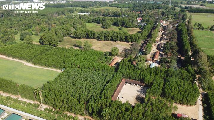 Mỗi năm, Trại chăn nuôi ngựa Suối Dầu (xã Cam Lâm, tỉnh Khánh Hòa) thuộc Viện Vắc xin và Sinh phẩm y tế – IVAC cung cấp từ 10.000 – 12.000 lít huyết thanh thô để sản xuất các loại huyết thanh điều trị uốn ván, dại, bạch hầu và rắn độc cắn, góp phần cứu sống hàng chục nghìn bệnh nhân trên cả nước.