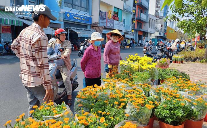Giữa phố thị hiện đại, vạn thọ vẫn giữ chỗ đứng riêng, không chỉ là một loài hoa trang trí ngày Tết mà còn là ký ức, là hồn quê và phong vị xuân của người Nam Bộ.