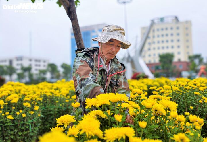 "Không chỉ riêng gia đình tôi, các hộ dân trồng hoa, tiểu thương tại chợ hoa Nguyễn Tất Thành giờ đây mỗi giờ trôi qua đều quý như vàng, họ không còn mong đợi một cái Tết có lãi đậm như mọi năm mà chỉ mong bán hết lượng hàng mà không bị lỗ", ông Tín ngậm ngùi.