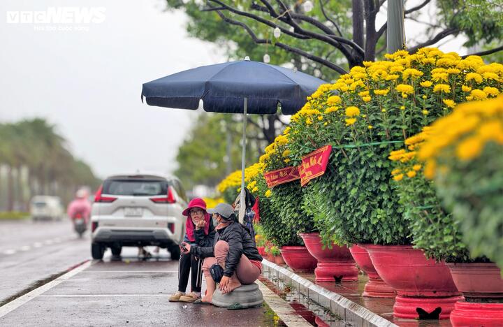 Ông Nguyễn Anh Tín (71 tuổi), người trồng hoa tại phường Quy Nhơn Bắc (Gia Lai) cho biết, năm nay nhà ông mất mùa hoa do bão lũ hồi tháng 11/2025, ngoài số hoa nhặt nhạnh còn lại, gia đình ông nhập thêm 2.000 chậu hoa cúc lớn nhỏ về bán. Nhưng 5 ngày nữa là Tết mà nhà ông chỉ bán được hơn 40 chậu.