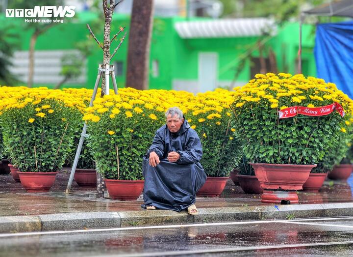 Tiểu thương co ro trong lớp áo mưa, kiên nhẫn ngồi chờ khách ghé mua hoa Tết.
