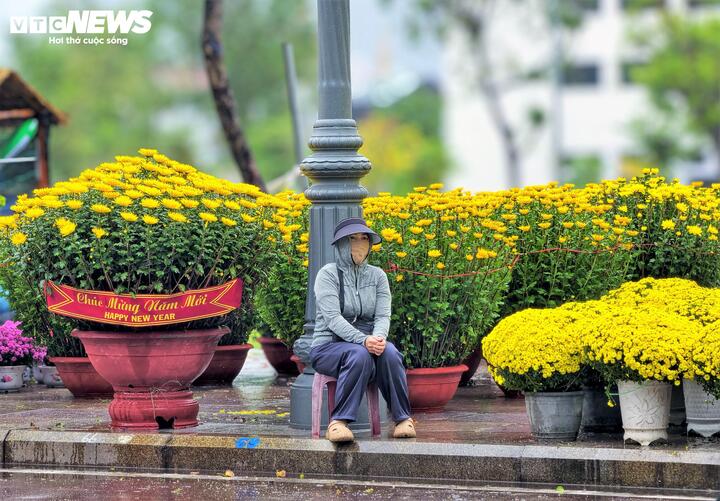 "Nếu thời tiết thuận lợi thì còn có người ra xem hoa chứ mưa gió như thế này chúng tôi lo không bán được, thua lỗ", một tiểu thương chia sẻ.