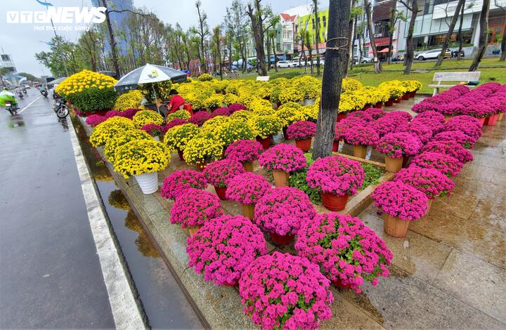 Cơn mưa kéo dài mấy ngày nay, càng khiến tiểu thương bán hoa Tết lo lắng, đứng ngồi không yên.