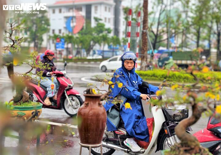 Khách ngắm hoa chốc lát, ngại xuống xe hỏi giá vì cơn mưa lạnh buốt.