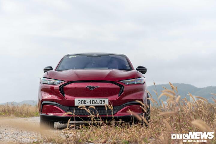 Chú ngựa hoang phi nước đại là đặc điểm nhận diện riêng biệt trên lưới tản nhiệt của dòng xe cơ bắp Mỹ.