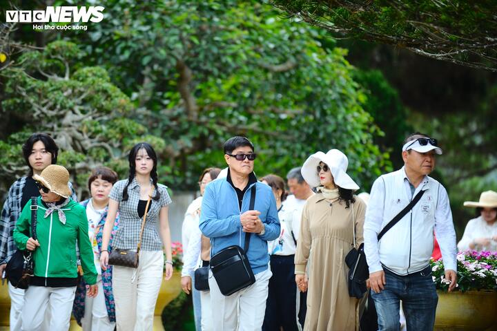 Mỗi ngày, hàng ngàn du khách trong và ngoài nước đến đây tham quan, thưởng lãm.