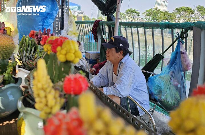 Người bán kiên nhẫn chờ khách, sẵn sàng giải thích cách chăm sóc, canh nở hoa cho từng chậu mai, chậu kiểng.