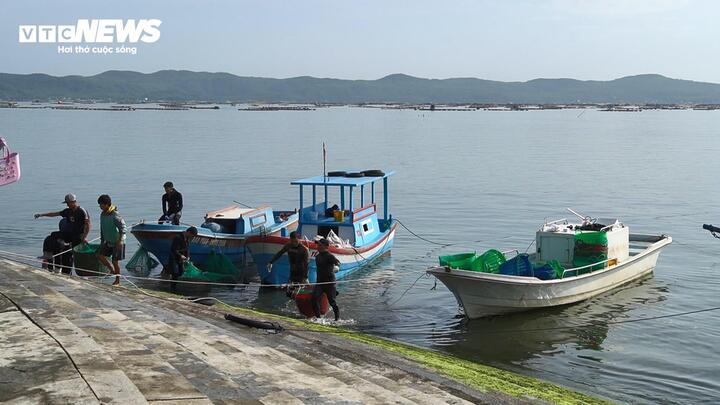 Tàu thuyền đã được sửa chữa, tiếp tục vươn khơi bám biển.