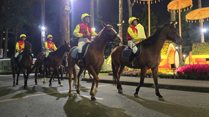 Ngựa đua thuần chủng xuất hiện tại hội hoa xuân.