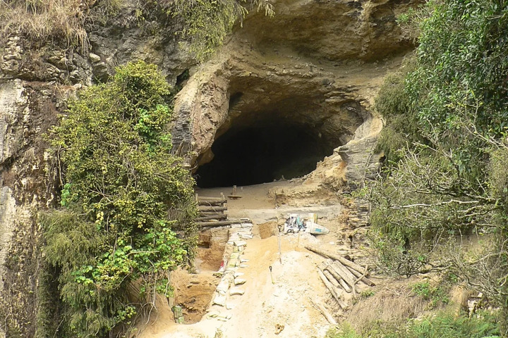 Hang động Moa Eggshell là nơi lưu giữ những hóa thạch quý giá. (Ảnh: Discover Wildlife)
