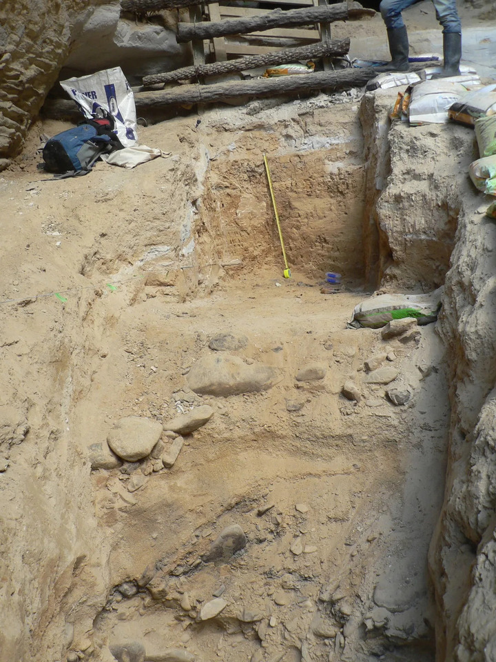 Các nhà nghiên cứu khai quật được dấu tích của nhiều loại chim và ếch đã tuyệt chủng ở hang Moa Eggshell. (Ảnh: Discover Wildlife)