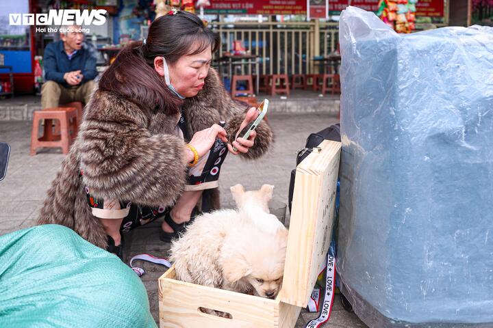 Tỉ mỉ chăm sóc hai chú chó mang theo về quê nuôi, bà Loan (Yên Bái) cho biết dù 15h xe mới vào bến nhưng bà đến đây từ 13h vì lo cận Tết đông đúc. “Đến nơi, tôi thấy năm nay không đông như mọi năm, tìm xe cũng dễ hơn”, bà nói.