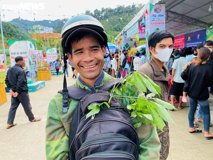 Sâm Ngọc Linh trở thành cây dược liệu chủ lực giúp bà con vùng cao quẳng đi gánh lo cơm, áo, gạo, tiền.
